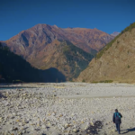 Screenshot 2026-01-28 at 10.02.19 PM