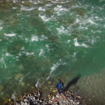 Screenshot 2026-01-28 at 10.03.26 PM