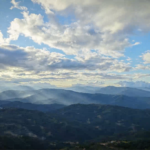 Screenshot 2026-01-28 at 10.03.55 PM