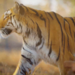 Screenshot 2026-01-28 at 10.05.13 PM